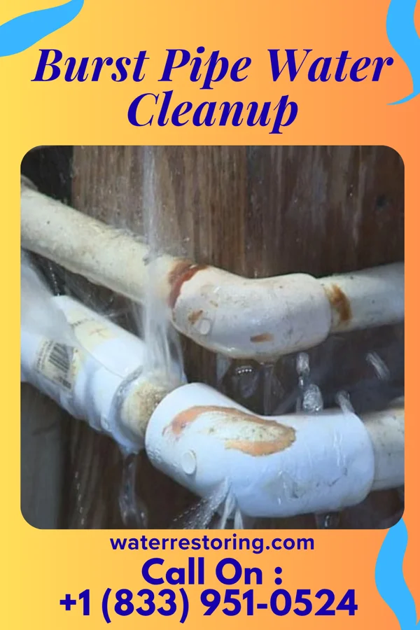 Burst Pipe Water Cleanup in Bell City, MO