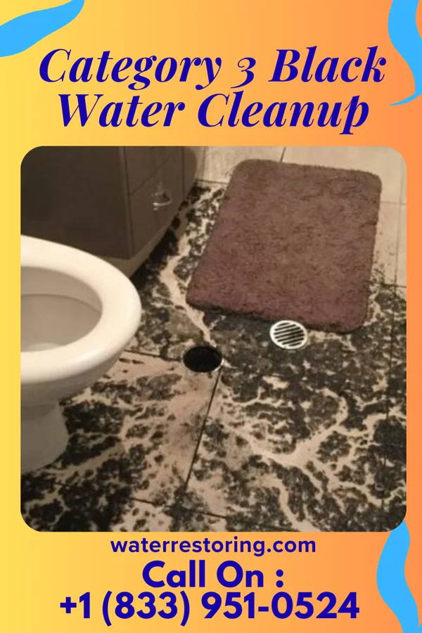 Category 3 Black Water Cleanup in Bell City, MO