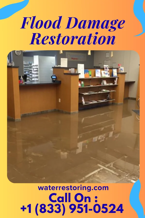 Flood Damage Restoration in Bell City, MO