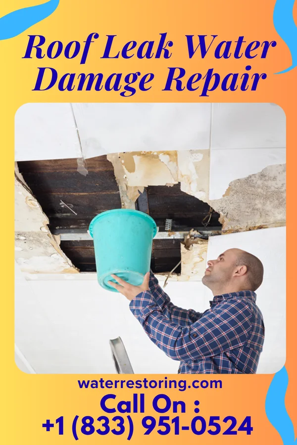 Roof Leak Water Damage Repair in Bell City, MO