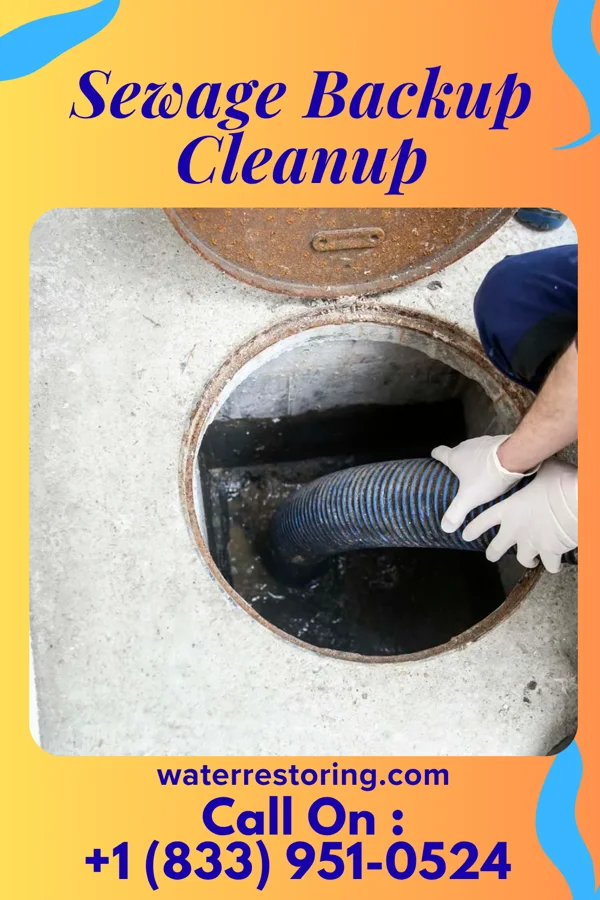 Sewage Backup Cleanup in Bell City, MO