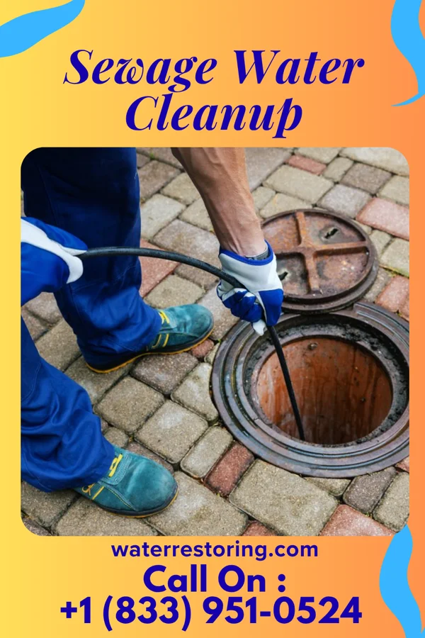 Sewage Water Cleanup in Bell City, MO